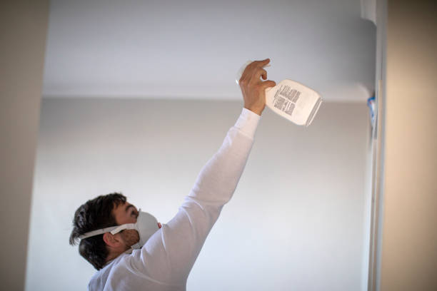 Best Commercial Mold Removal  in Scottdale, PA