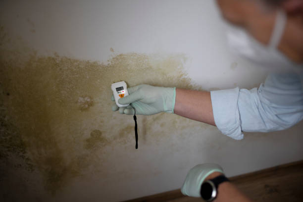 Crawl Space Mold Removal in Scottdale, PA